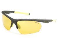 Lunettes polarisantes Solano FL 20058B