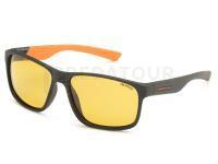 Lunettes polarisantes Solano FL 20059D