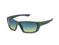 Solano Polarized Sunglasses FL 20077 - D