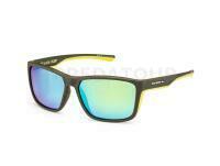 Solano Polarized Sunglasses FL 20078 - C