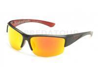 Lunettes polarisantes Solano FL20057E