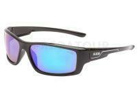 Polarized Sunglasses Type 54 SMZ