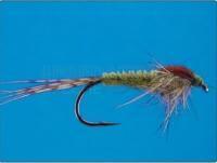 Olive Nymph no.16