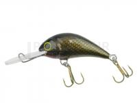 Leurre Gloog Parys 40NF - B