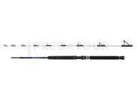 Canne Penn Battalion III Boat Casting 2.13m 12-20lb