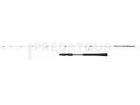 Canne Penn Battalion III Tairubber 1.98m max 80g