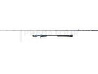 Canne Penn Battalion Solid Jigging Casting Rod 1.91m 200g