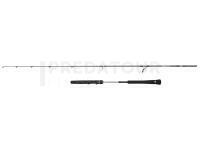 Canne Penn Prevail III Light Jigging Spin 2.04m max 120g