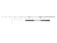 Canne Penn Regiment IV Light Jig Spinning 1.88m max 120g