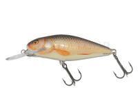 Leurre Salmo Perch PH8DR - Real Roach