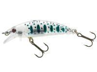 Leurre Sakura Phoxy Minnow HW 50S - T09 CASPER TROUT