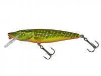 Leurre Salmo Pike PE16F - Hot Pike