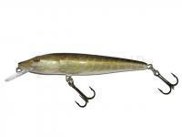 Leurre Salmo Pike PE9F - Real Pike