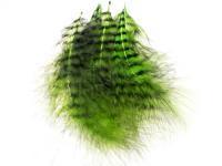 Feather Grizzly Marabou - Chartreuse/Black