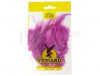 Veniard Loose Cock Saddle Hackle Large 2 gram - Light Claret