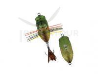 Leurre DUO Realis Koshinmushi 30mm 3.1g | 1-1/6in 1/8oz - CCC3202 Haruzemi