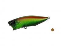 Leurre DUO Realis Popper 64 F | 64mm 9g - CCC3177 Jewel Beetle