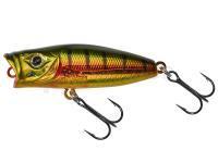 Leurre Popper Gunki Hedorah 43 F - Gold Perch