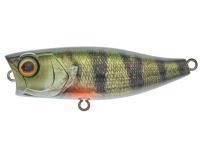 Leurre Illex Chubby Popper 42 | 42mm 3.3g - RT Perch