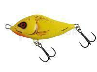 Leurre Salmo Slider 7cm 20g S - Chart
