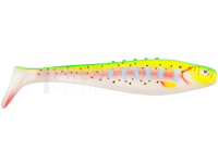 Leurre souple Dragon Lunatic Pro 15cm - Rainbow Trout