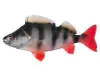 Leurres souples Fox Rage Ultra Natural Fillets 6cm - Perch