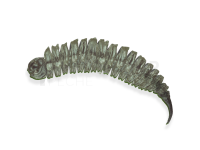 Leurres Qubi Lures BigFatSnail 6cm 1g - Invisible creature