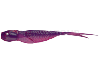 Leurres Qubi Lures Syrena V-Tail 10cm 5.6g - Bishop