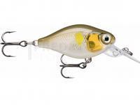 Leurre Rapala X-Light Crank Mid Runner 3.5cm - Ayu