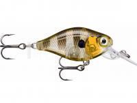 Leurre Rapala X-Light Crank Mid Runner 3.5cm - Glassy Gill UV