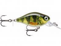 Leurre Rapala X-Light Crank Mid Runner 3.5cm - Live Perch