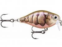 Leurre Rapala X-Light Crank Shallow Runner 3.5cm - Purple Prawn UV