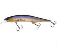 Leurre DUO Realis Jerkbait 120SP - CCC3172 Threadfin Shad