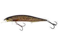 Leurre DUO Realis Jerkbait 120SP Pike Limited - CCC3815 Bown Trout ND