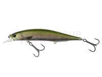 Leurre DUO Realis Jerkbait 120SP Pike Limited - CCC3836 Rainbow Trout ND