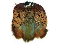 Ringneck Pheasant Skin - Natural, Cock