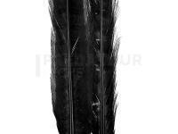 Ringneck Tail Feathers - 100 Black
