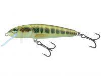 Leurre Salmo Minnow M6S 6cm - Minnow