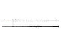 Canne Savage Gear Defiance SG2 Tai Rubber Cast 2.13m 40-150g