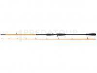 Canne Savage Gear Orange LTD Big Bait BC 2.59m 110-220g 2pc