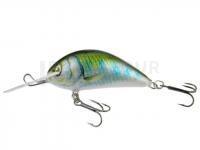 Leurre Kenart Shark 5cm GG