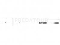 Canne Shimano Dialuna Inshore Casting 2.59m 8-40g