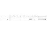 Canne Shimano Salty Advance Sea Bass Spinning 2.90m 8-45g