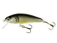 Leurre Microbait Snack 40 - Roach