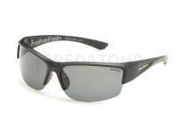 Lunettes polarisantes Solano FL20057A