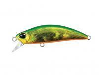 Leurre DUO Spearhead Ryuki 50S - ADA4059 Green Gold OB