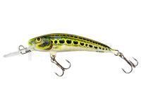 Leurre Dorado Stick 5.5cm Floating - CT