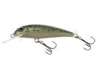 Leurre Wob-Art Strzebla (Common minnow) 6cm 4g MF DR - 21