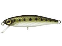 Leurre Illex Tiny Fry 38 SP - Goujon