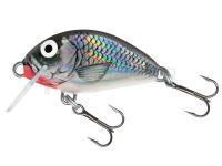 Leurre Salmo Tiny IT3F   HGS